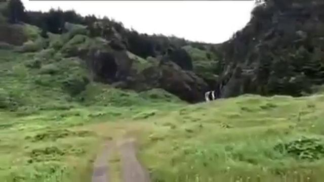 Я вам спою, мои друзья... смотреть онлайн