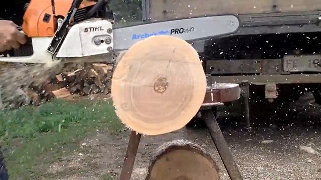 Hedgerow chain vs Aussie Gum смотреть онлайн