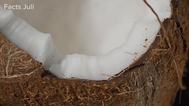 Самые Опасные Деревья, Которые Нельзя Трогать!? смотреть онлайн