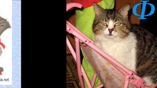 О котах смотреть онлайн