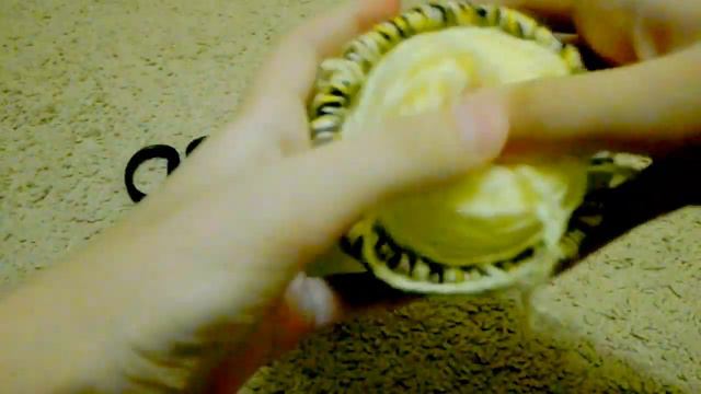 КАКУЮ ИГРУШКУ МОЖНО СДЕЛАТЬ ДЛЯ КОШКИ ИЛИ ДЛЯ СОБАКИ смотреть онлайн