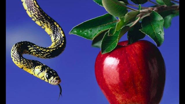 R. Nikolaenko - Tempter Serpent (Pandemonium) смотреть онлайн