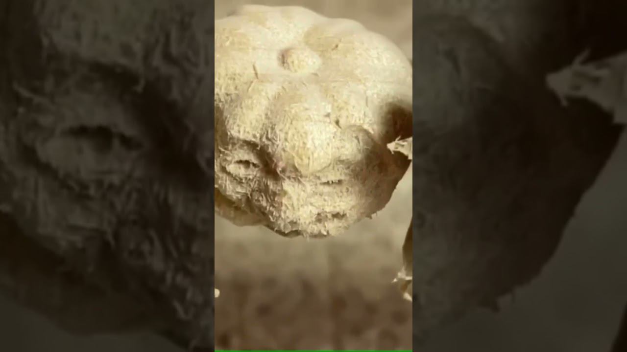 Вот так это делается смотреть онлайн