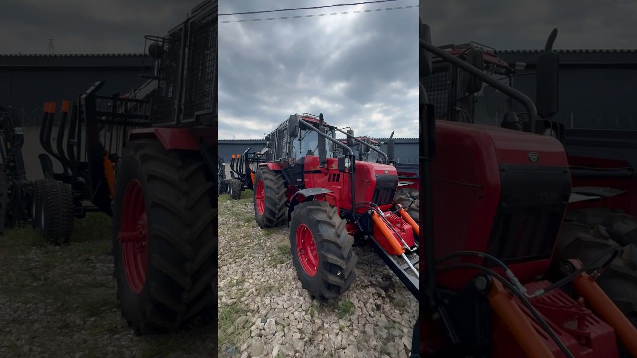 Лесной комплект от Беларусов #фермер #лесозаготовка #tractor #новыйбеларус #shorts #леснойприцеп смотреть онлайн