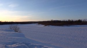 КАК ПРИГОТОВИТЬ СВЕЖЕГО КАМЧАТСКОГО КРАБА В КАЗАНЕ НА КОСТРЕ с СОУСОМ ТАРТАР. НЕЖНЕЙШЕЕ МЯСО.