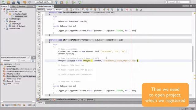 Valentina Reports in Java Applications смотреть онлайн
