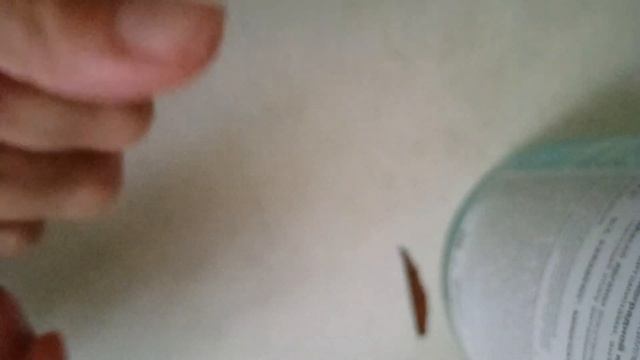 КАК ИЗ ВЕРНУТЬ!? В следующем видео посмотрим что с ними стало