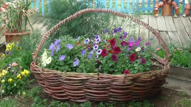 Красивые клумбы своими руками - клумбы корзины. Идеи, фото красивых клумб корзин смотреть онлайн