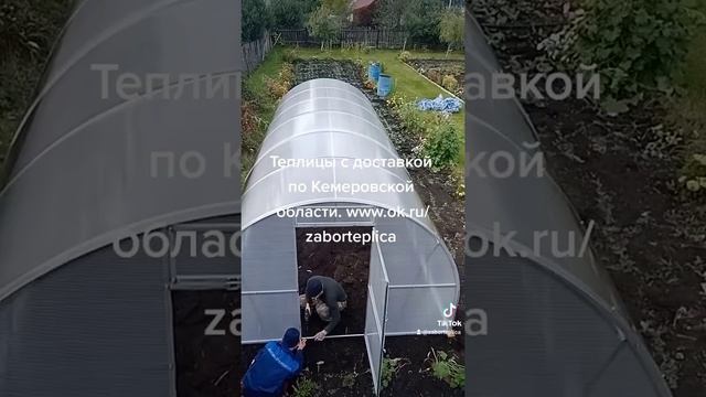 Теплицы в Кемерово, Юрге, Мариинске.