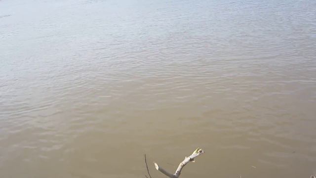 Рыбалка 2012 смотреть онлайн