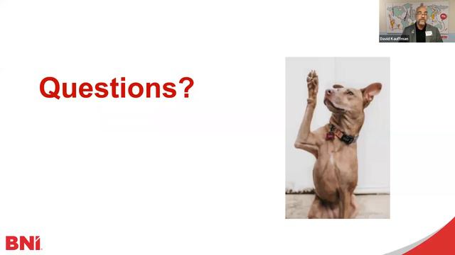 BNI Talks: Double Your Network, Triple Your Referrals - with David Kauffman смотреть онлайн