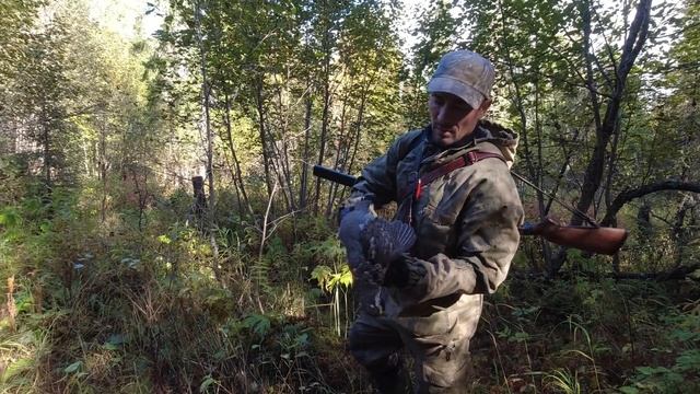 ОХОТА НА РЯБЧИКА С МАНКОМ / ПРОМЫСЕЛ БОРОВОЙ ДИЧИ / САМОЗАРЯДЫ / ОСЕННЯЯ ОХОТА В ТАЙГЕ КОМИ. смотреть онлайн