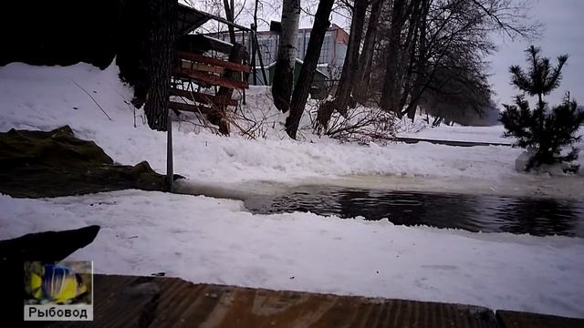Водосвет 2017! Vodosvet 2017 смотреть онлайн