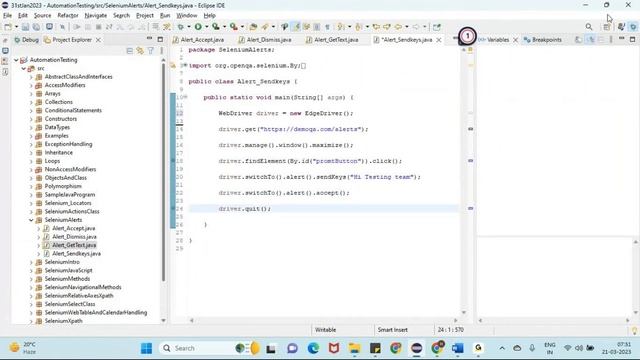 Test Automation Practice - Automation Selenium with Core JAVA | Call: +91 94 916 28222 | Saag Tech смотреть онлайн