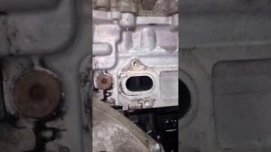 Двигатель Chevrolet Captiva 2 2,2 дизель