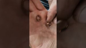 Диагностика форсунок туарег 3.0 TDI BKS