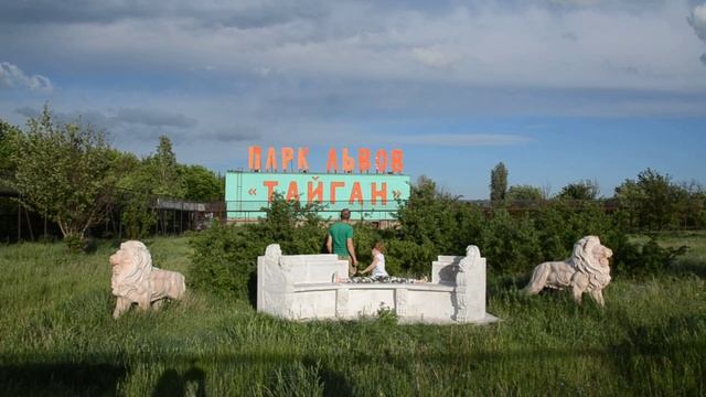 Сафари парк львов Тайган смотреть онлайн