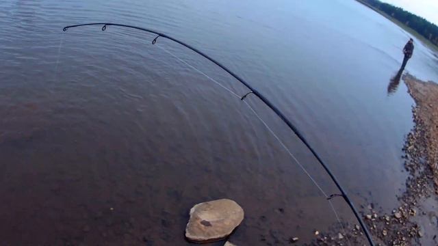 Прогулка по реке со спиннингом , щука и окунь, медвежьи следы. смотреть онлайн