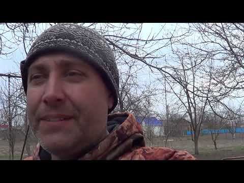 НЕ ПРЕДУСМОТРИТЕЛЬНО / ПРИВЕТ ИЗ ОКНА / ДУМАЛА ЧТО ВСЁ / ОБЗОР АРАНЖЕРЕИ / ФРИКАДЕЛЬКИ смотреть онлайн