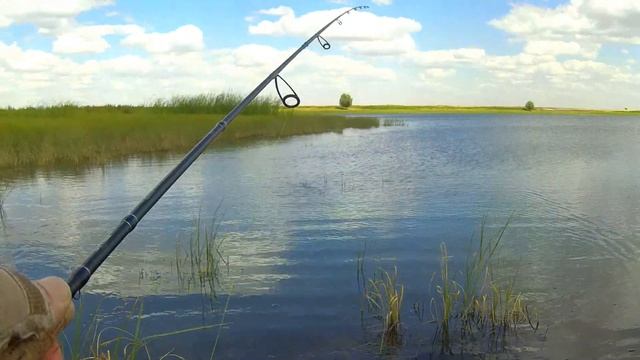 Окунь Чпокунь LUCKY CRAFT смотреть онлайн