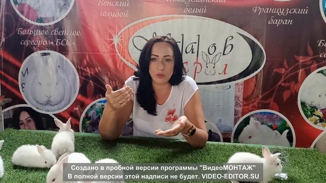 Вебинар Бастау Бизнес 