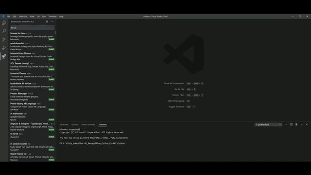 Robot Wonderland - Misty Java Extension Installation for VSC смотреть онлайн