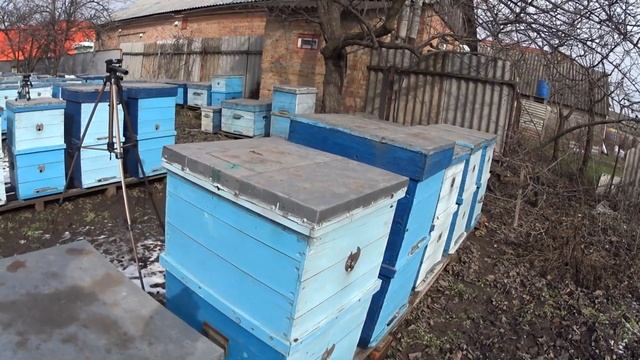 Певый хороший облет Пчеловодство 2021 Пчеловодство для начинающих смотреть онлайн