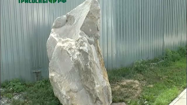 Стала известна дата открытия скульптурной композиции "Верность профессии ветеринарного врача" смотреть онлайн