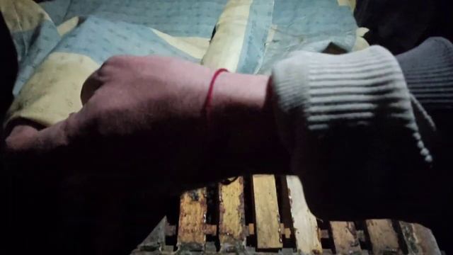 Зимовка пчел в доме. Зимовка пчел в помещении. Лучший способ зимовки пчел луче ч смотреть онлайн