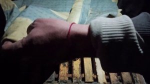 Зимовка пчел в доме. Зимовка пчел в помещении. Лучший способ зимовки пчел луче ч