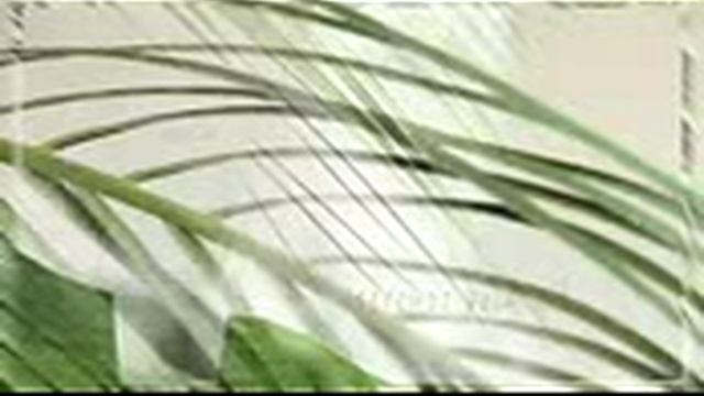 Французская косметическая линия TriovitalNeo. смотреть онлайн