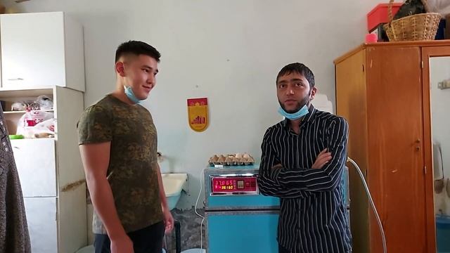 Закладывать ли грязные яйца? Юные птицеводы Алматы смотреть онлайн