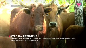 Фермер из Омутинского района развивает мясное животноводство параллельно с агротуризмом