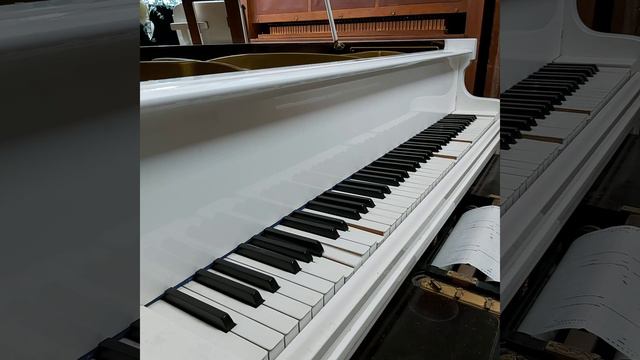 Pavane pour une infante defunte (Ravel) okayed by E. Robert Schmitz : AMPICO 65473 смотреть онлайн