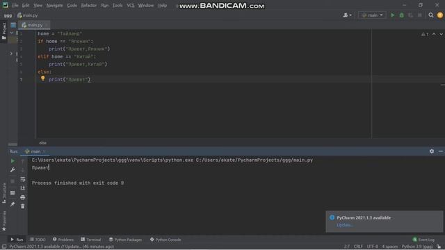 Урок 2.Условие в Python смотреть онлайн