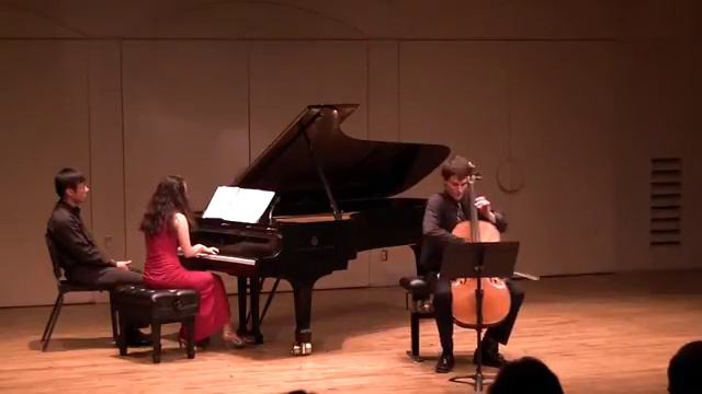Johannes Brahms: Sonata for Cello and Piano in D major, Op. 78. смотреть онлайн