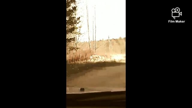 ОСТАВАТЬСЯ ЛУЧШЕ НА ДАЧЕ! Обзор земельных участков в КП "Ближний Хутор". смотреть онлайн