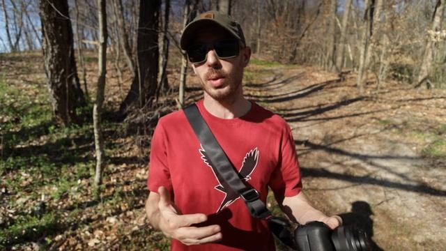 Canon EOS R6 | Reasons why it’s the best hybrid 4K video & stills camera for me | Wildlife photos смотреть онлайн