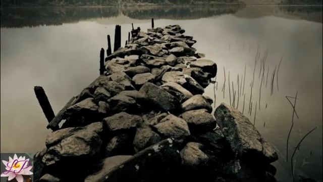 Отец Александр Старостенко.Ищу Твой свет. смотреть онлайн