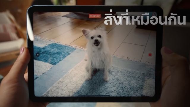 #iMoD เปรียบเทียบ IPad Air 5 Vs. IPad Gen 10 เหมือนและต่างกันอย่างไร รุ่นไหนดีกว่า ดูแล้วเลือกถูกเล