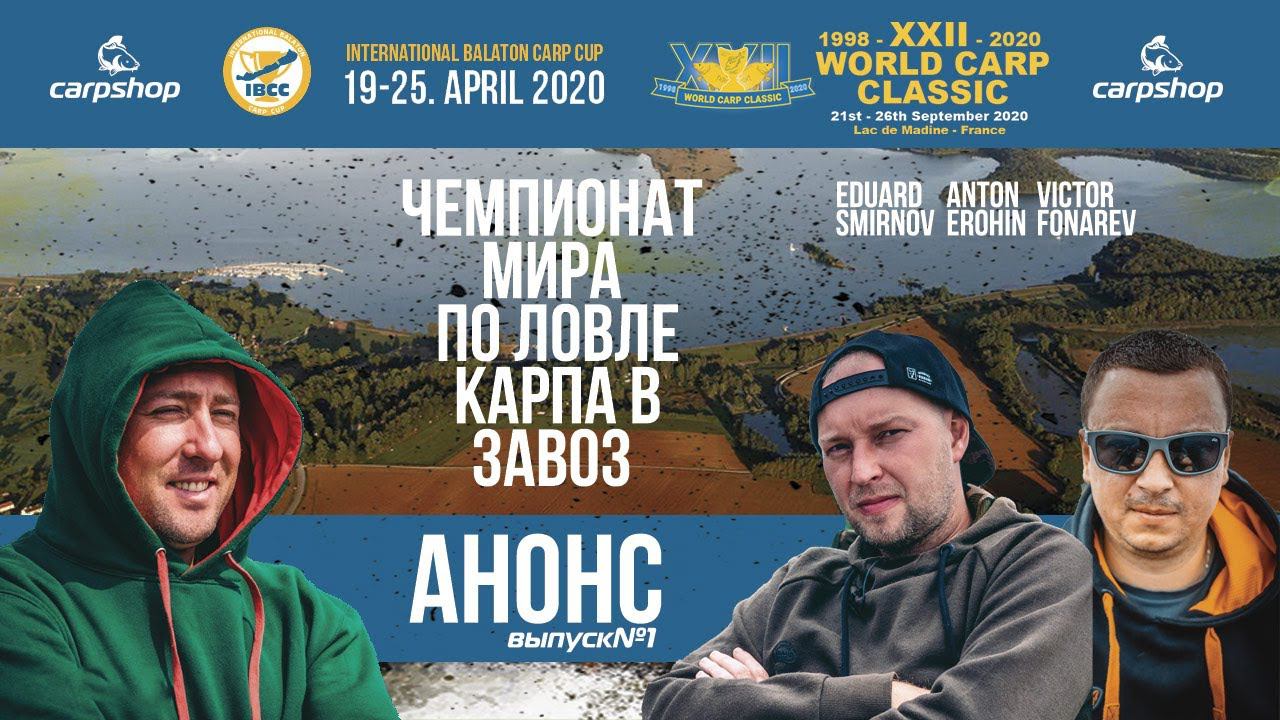 ЧЕМПИОНАТ МИРА ПО ЛОВЛЕ КАРПА В ЗАВОЗ! #CARPTODAY НА #WCC И #IBCC