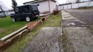 Застраивал, дыру под забором ??