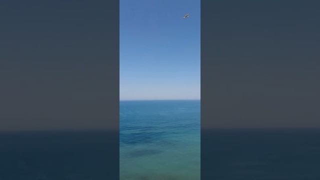 Техники самокоррекции. Медитация очищения и центрирования через водные среды. смотреть онлайн