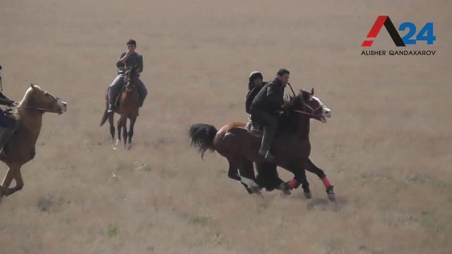NAVOIY viloyati NUROTA tumani ASLIDDIN aka kõpkarisi 1-qism смотреть онлайн