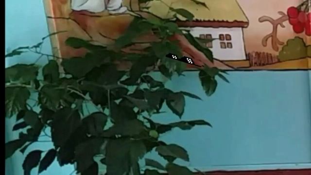 ТИПЫ ЛЮДЕЙ ВО ВРЕМЯ КОНФЛИКТА смотреть онлайн