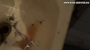 Как снять и промыть памперс или впитывающую подкладку принтера Epson.