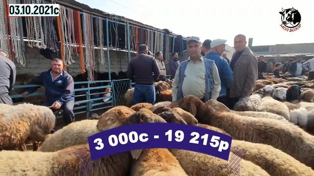 Гусфандбозори Хучанд. Молбозор.