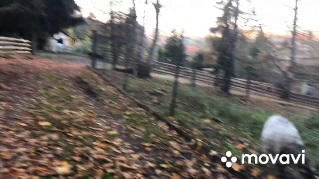 Прогулялись по парку. Погода класс! смотреть онлайн
