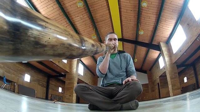 Agave Didjeridu By: Tyler Spencer (AD-045 DEMO) смотреть онлайн