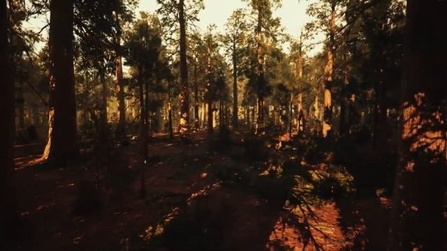 Красивая расслабляющая музыка ? успокаивающие мелодии, душевная и успокаивающая музыка #1 смотреть онлайн